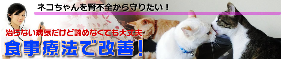 完全栄養食：猫の健康補助食品 腎不全から猫を守る！【フード情報まとめサイト】腎不全や尿毒症の症状や予防、症状に合わせた食事の情報を一挙公開！